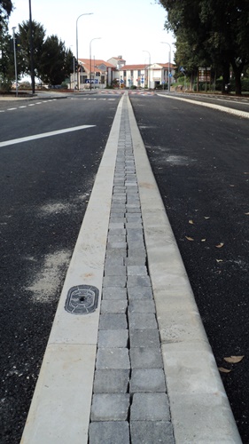 Ma 'ste biscie qua, a cosa servono veramente?